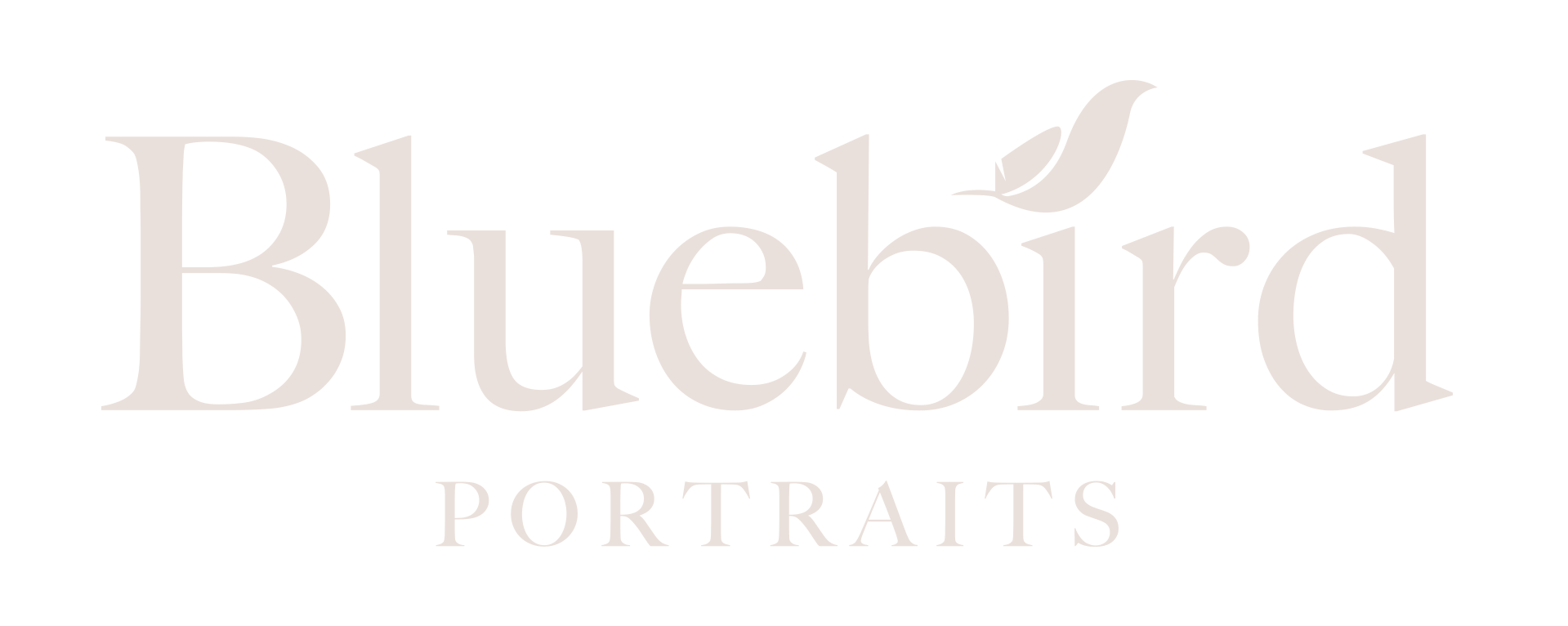 Bluebird Logo Bluebird Logo