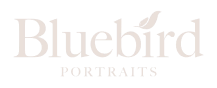 Bluebird portraits Logo